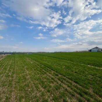 Działka w dzielnicy Wielbark ul. Szeroka